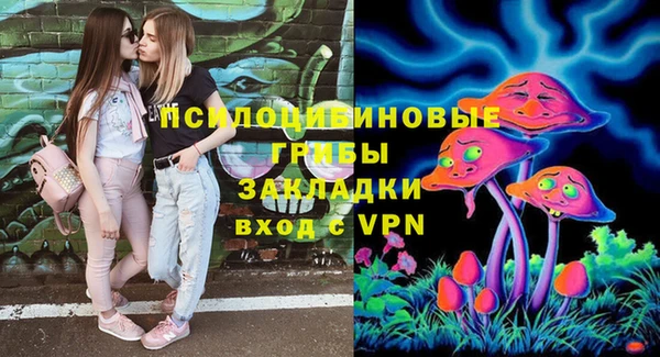 сатива Алексеевка
