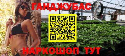 стафф Кандалакша