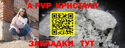 стафф Кандалакша